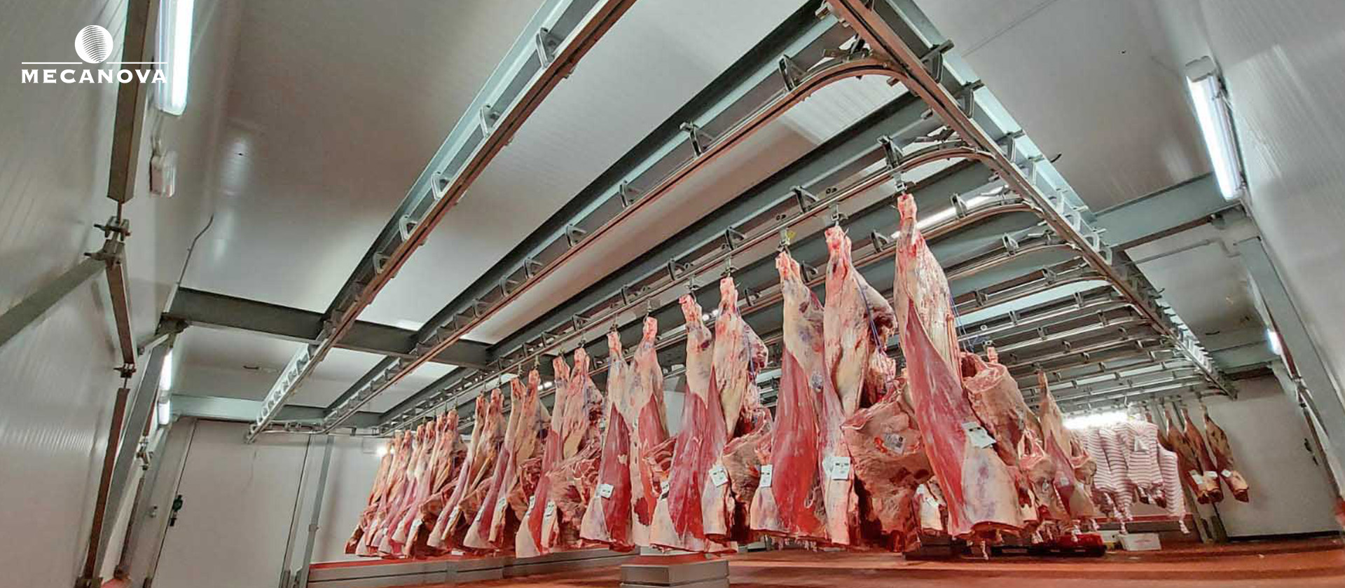 increase slaughterhouse efficiency
